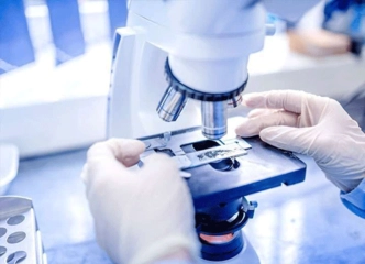 Progesteron Hormonu Değerleri?